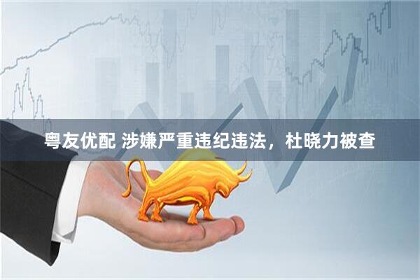 粤友优配 涉嫌严重违纪违法，杜晓力被查