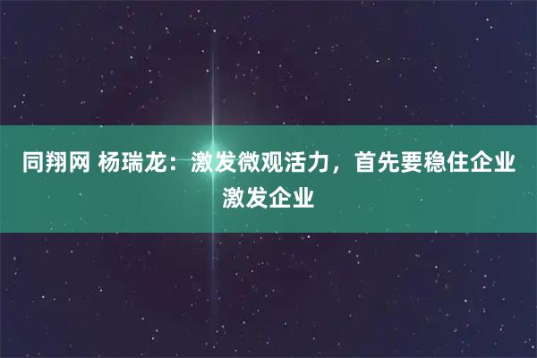 同翔网 杨瑞龙：激发微观活力，首先要稳住企业激发企业